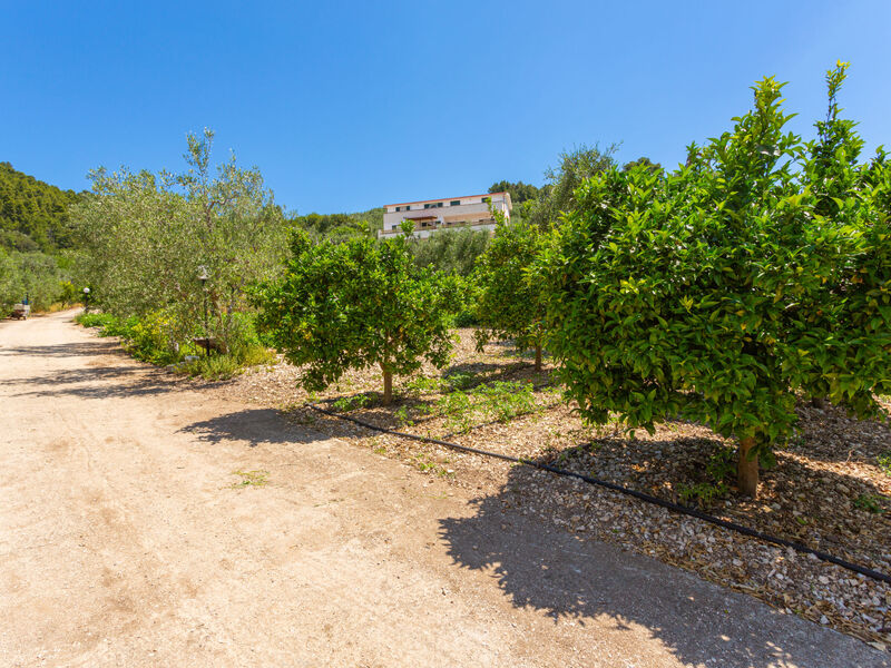 Vila Tavaglione