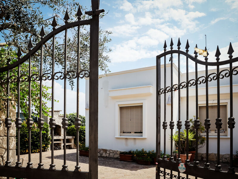 Grillo-Villa Anna