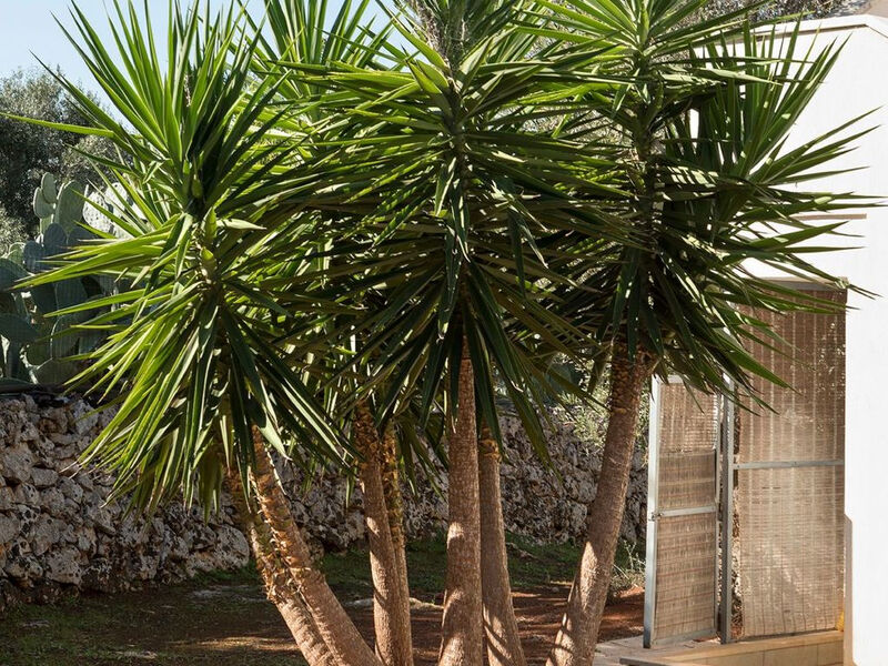 Vila Vistamare