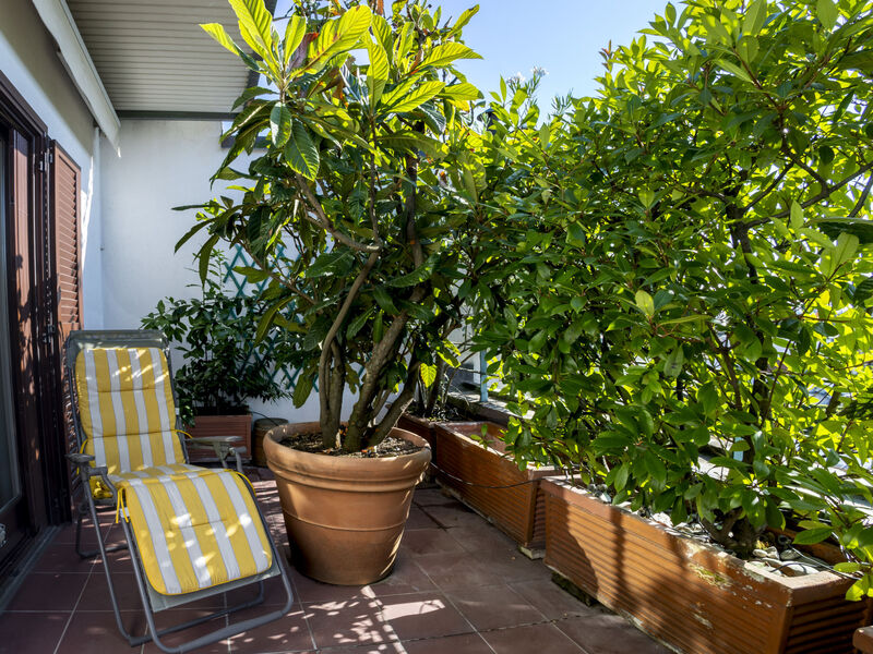 Bianca di Savoia Terrace View