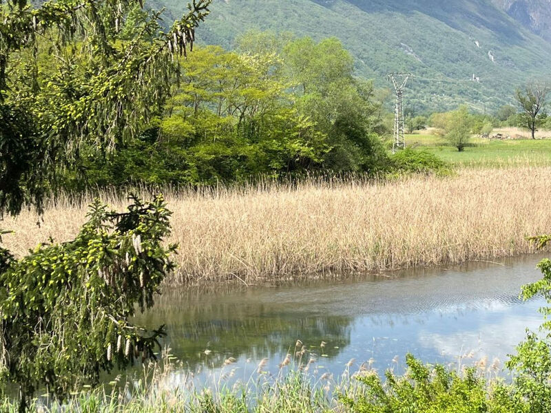 Vakantieappartement 'Willkommen am See'