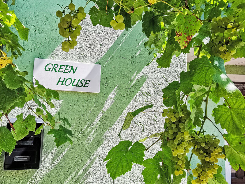 Green House