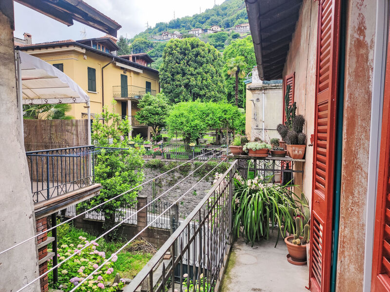 Lisetta