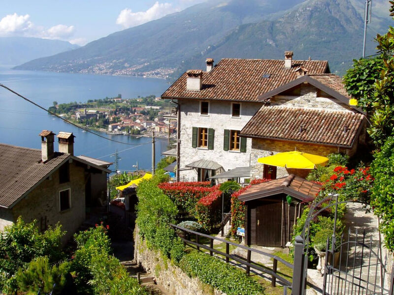 Amarone