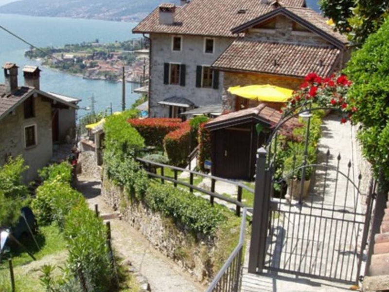 Ribolla