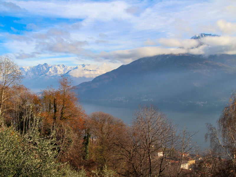 Cascina Ulivi