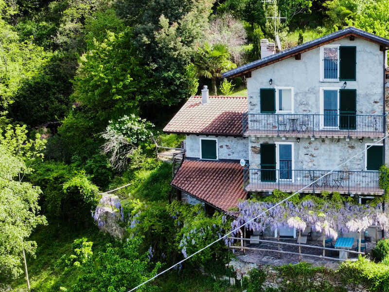 Oro Del Lario