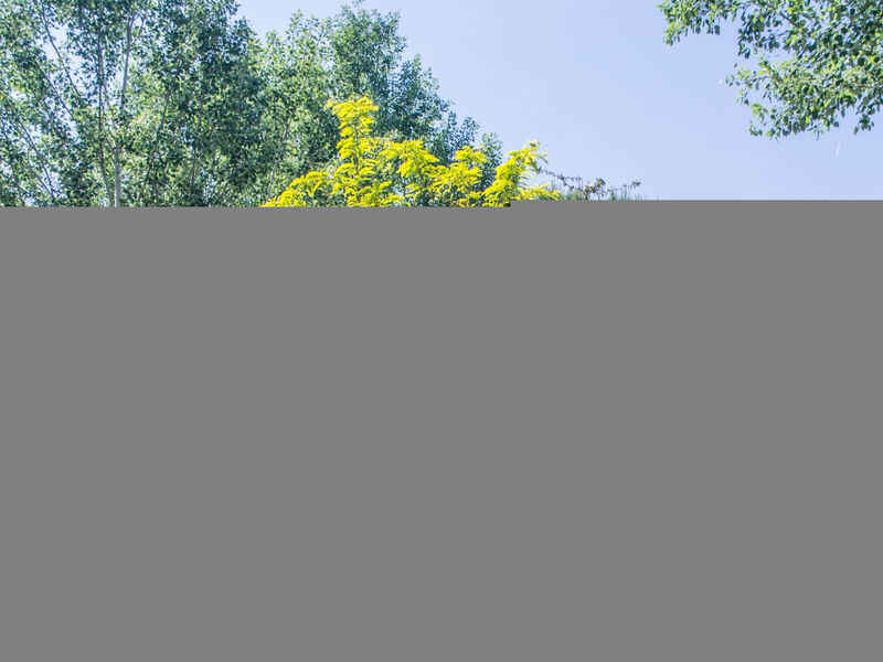 Camping Cisano & San Vito