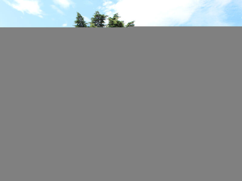 Camping Cisano & San Vito