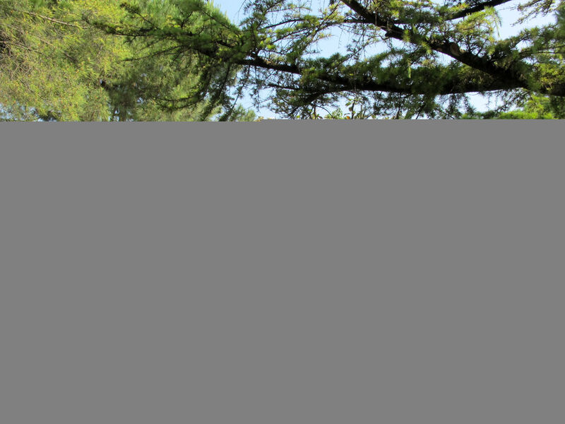 Camping Bella Italia