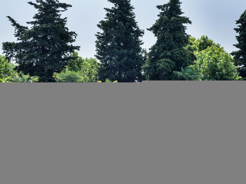 Baia Holiday Gasparina 3*