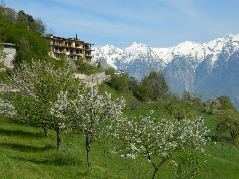 Wohnung 'Stella del Garda'