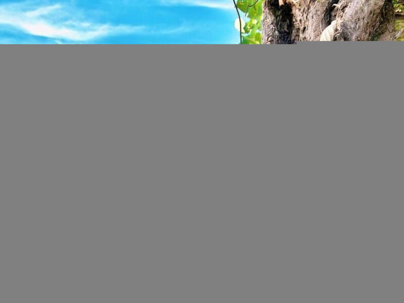 Appartement für 3 Personen