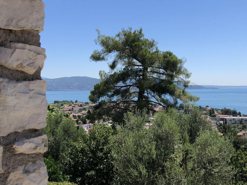'Villa degli Ulivi