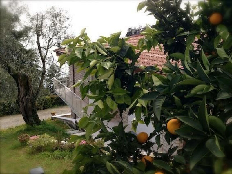 'Villa degli Ulivi