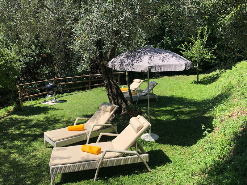 'Villa degli Ulivi