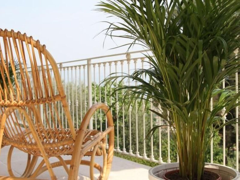 'Villa degli Ulivi