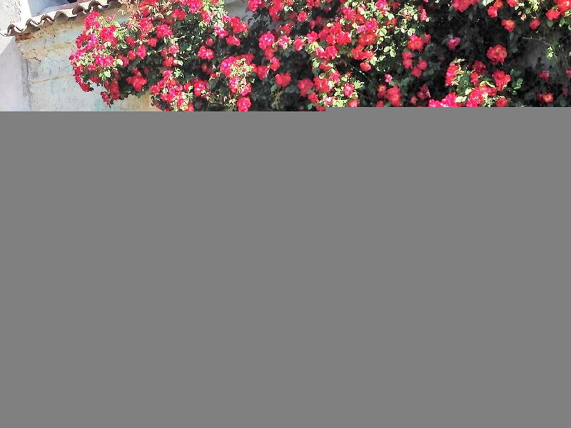 Antica Corte Ginevra-Ap.Lancillotto Gardasee