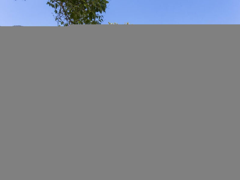 Antica Corte Ginevra-Ap.Lancillotto Gardasee