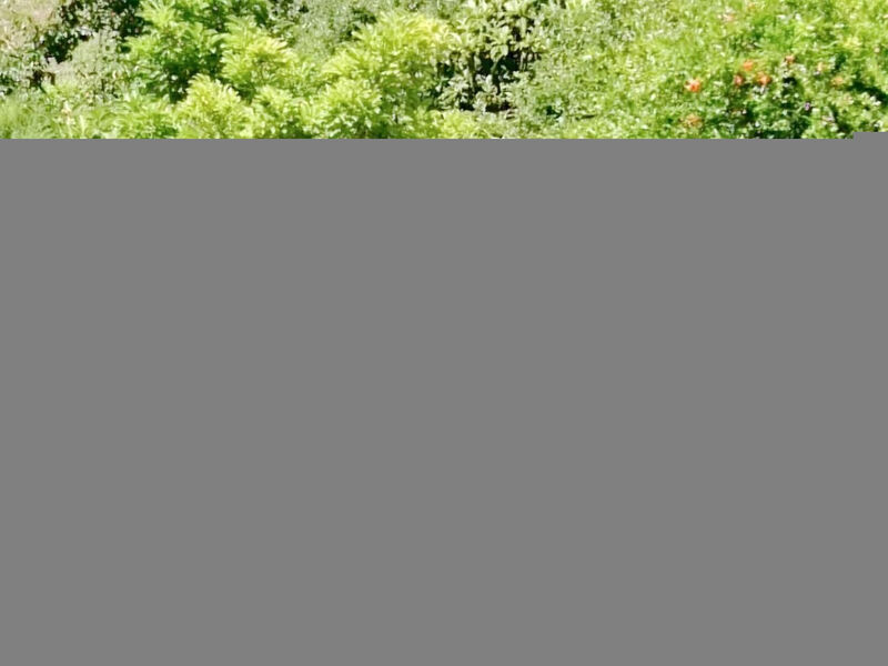 Antica Corte Ginevra-Ap.Lancillotto Gardasee