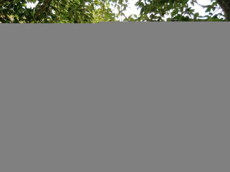 Antica Corte Ginevra-Ap.Lancillotto Gardasee