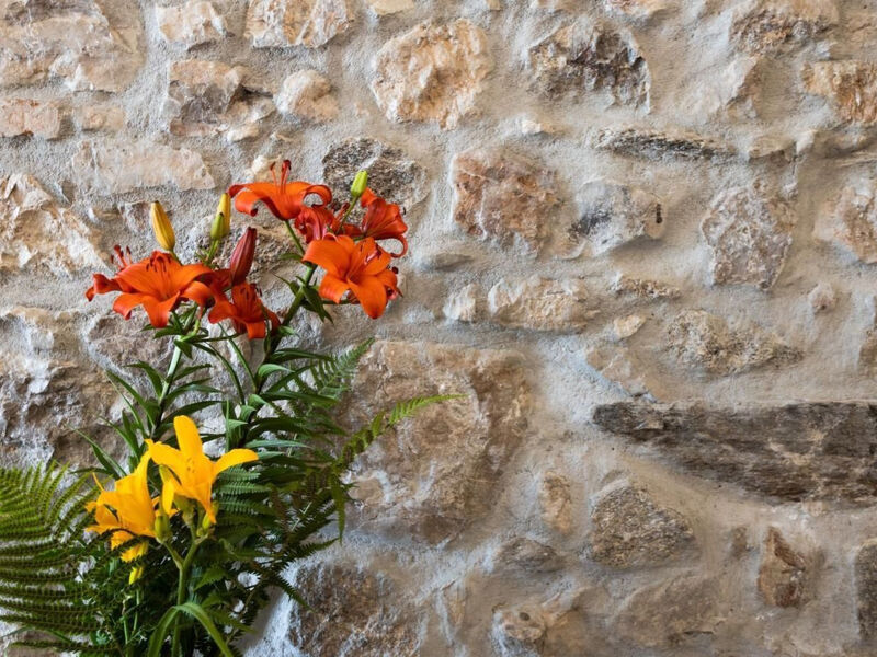 Antica Corte Ginevra-Ap.Lancillotto Gardasee