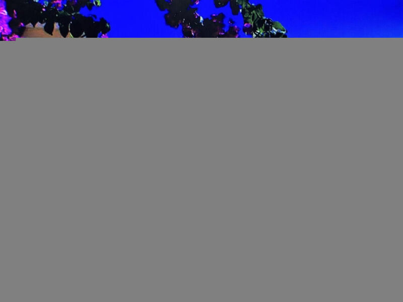 Wohnung 'Bella Vacanza 1