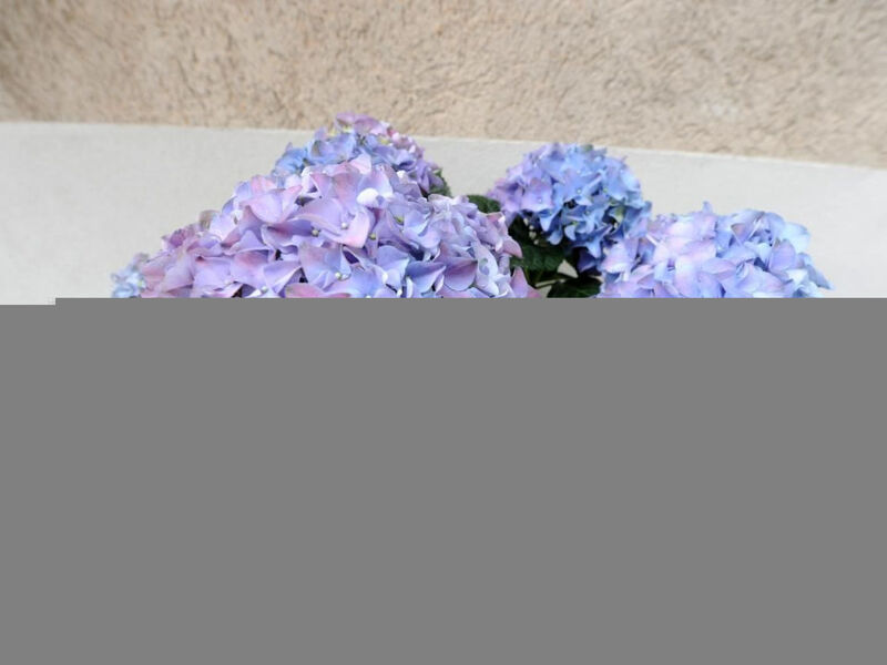 Wohnung 'Bella Vacanza 1