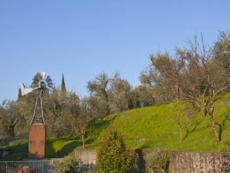 'Casa Willy