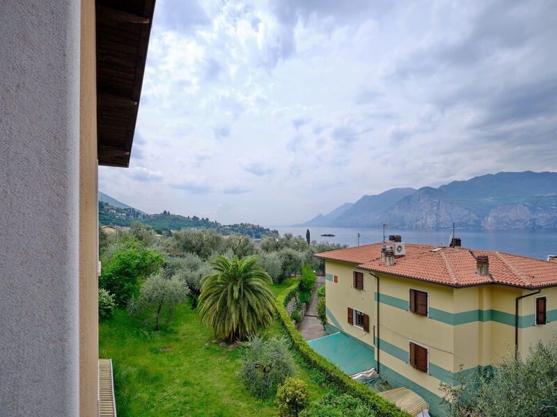 'Casa Willy