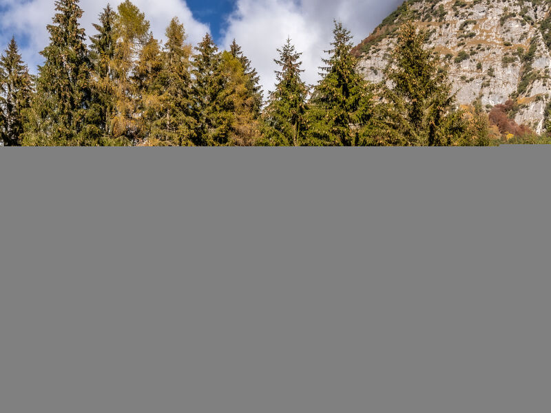 Baita Valon Alpine Hideaway