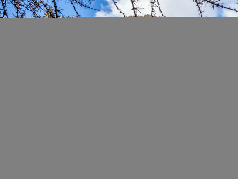 Baita Valon Alpine Hideaway