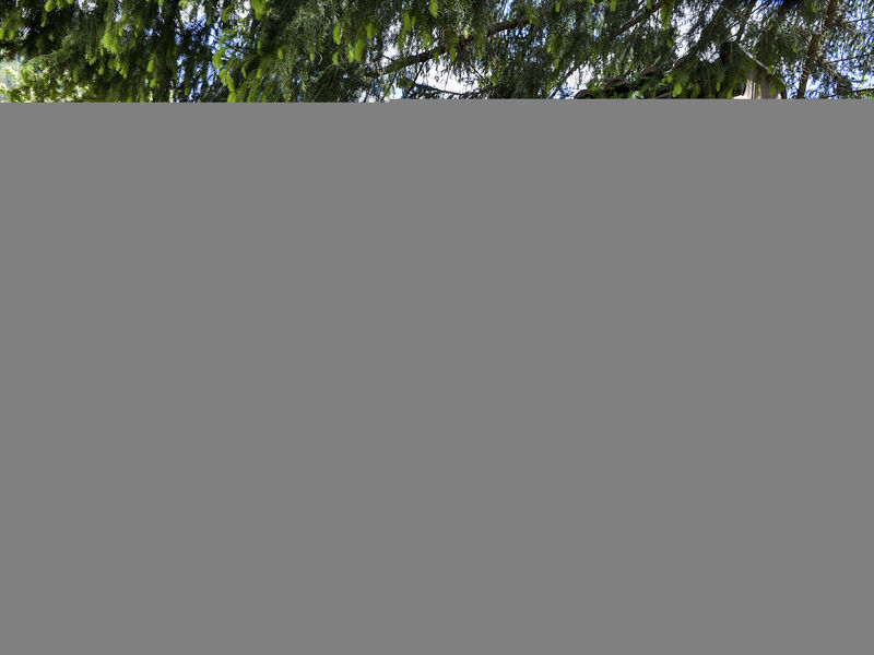 Appartamenti El Ladinia