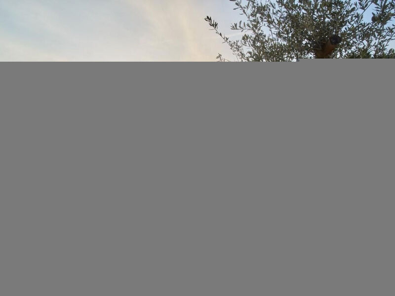 Residence Olivi - Luxury Apartment Penthouse