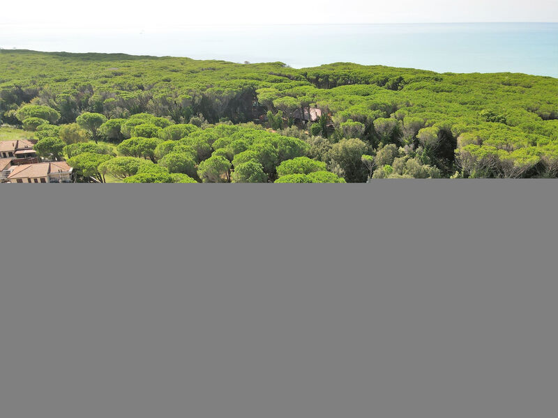 Residence Palazzeta