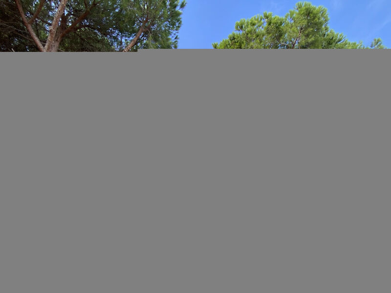 Residence Palazzeta