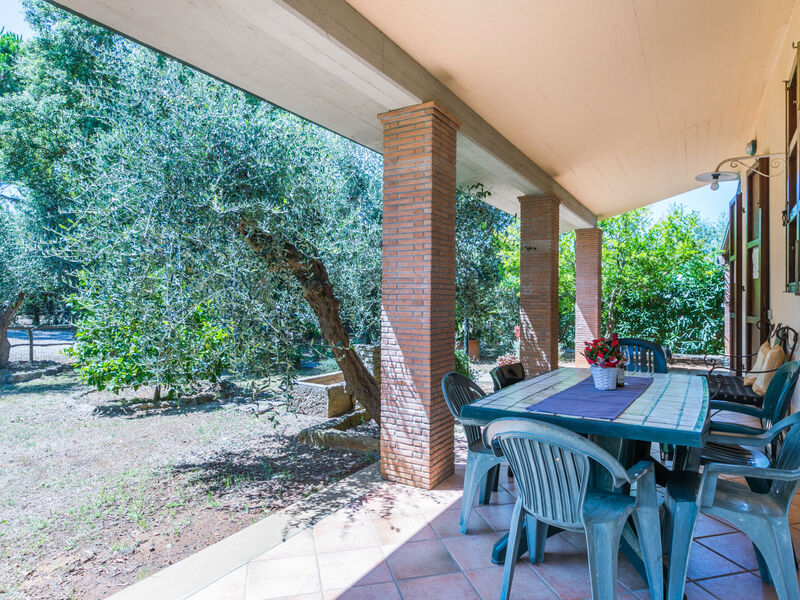 Oliveta 1