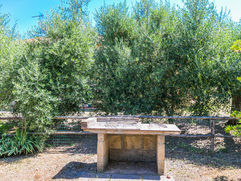 Oliveta 1