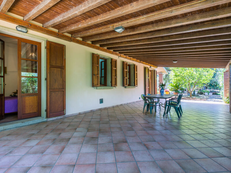 Oliveta 1
