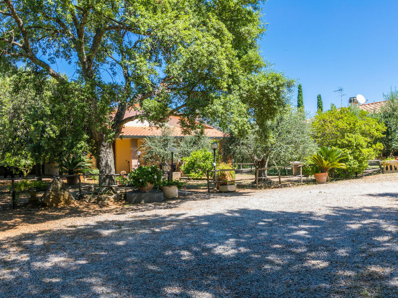 Oliveta 1