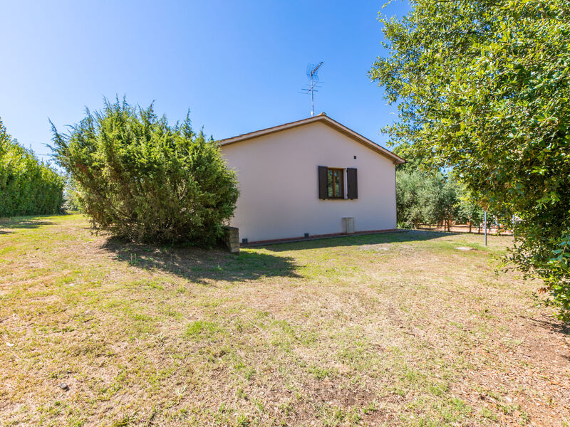 Oliveta 2