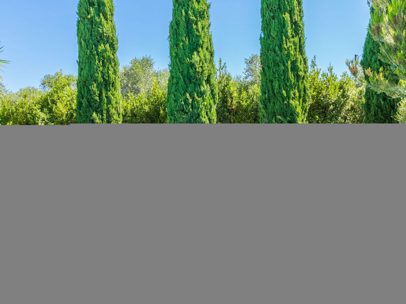 Oliveta 2