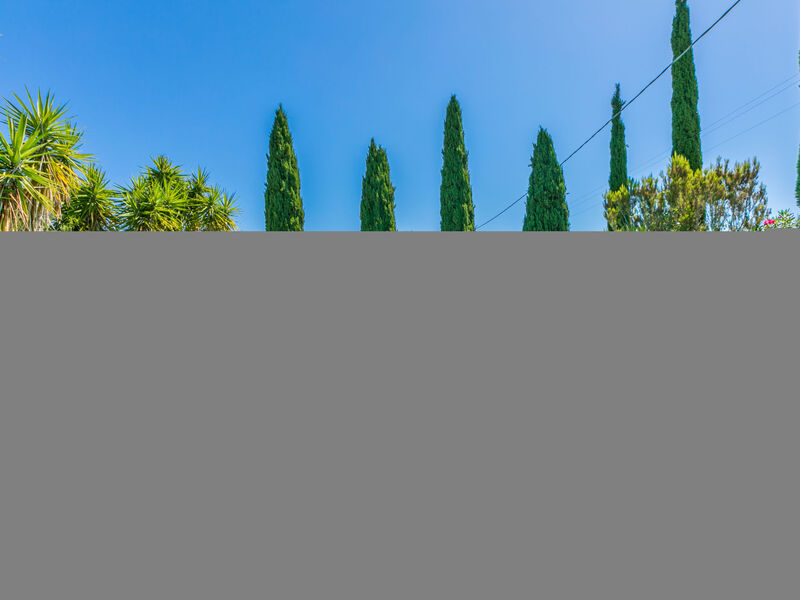 Oliveta 2
