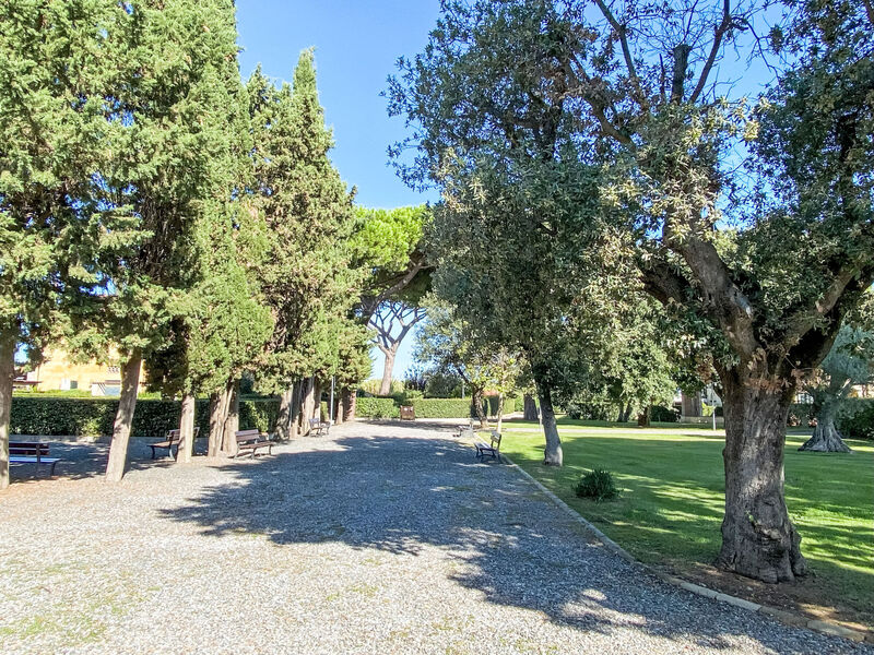Cinquantina