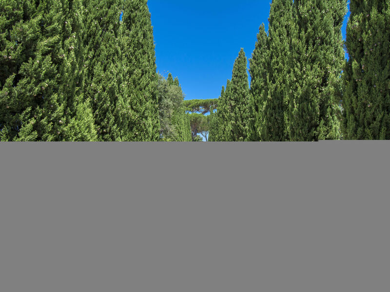 Podere Tre Termini