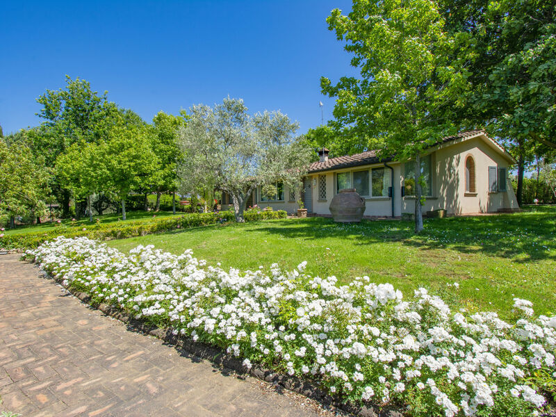 Vila Rosa