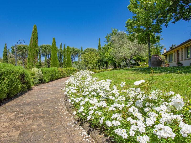 Vila Rosa