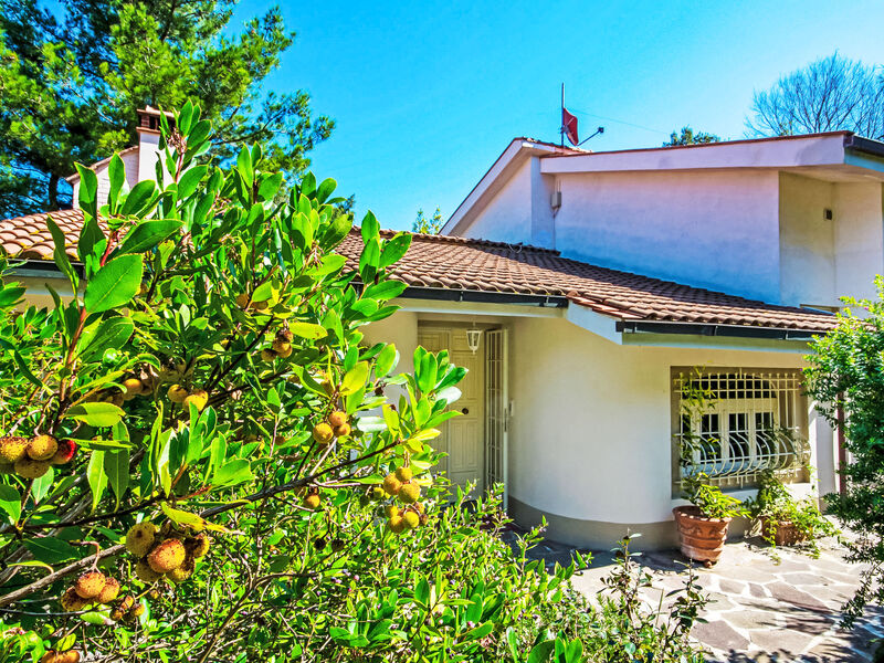 La Casa Vivente