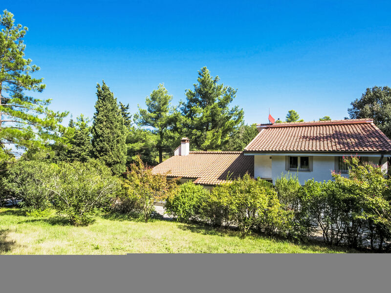 La Casa Vivente