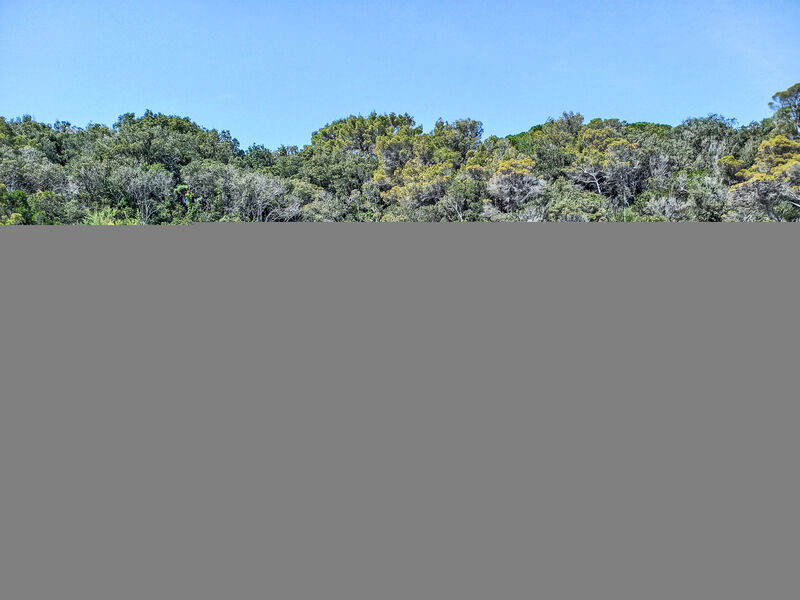 Rotonda